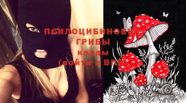 бошки Майский