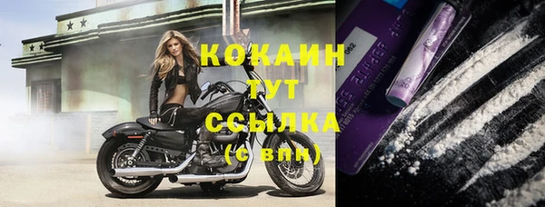 МДПВ Магас
