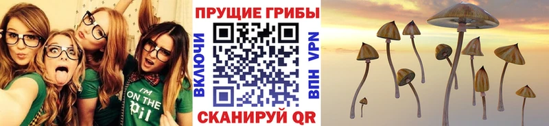 Галлюциногенные грибы GOLDEN TEACHER  Купить закладки  Бирск 